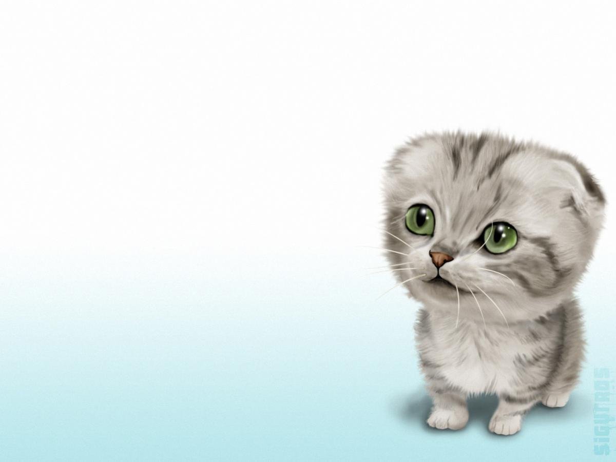 Рисунки котята милые и смешные