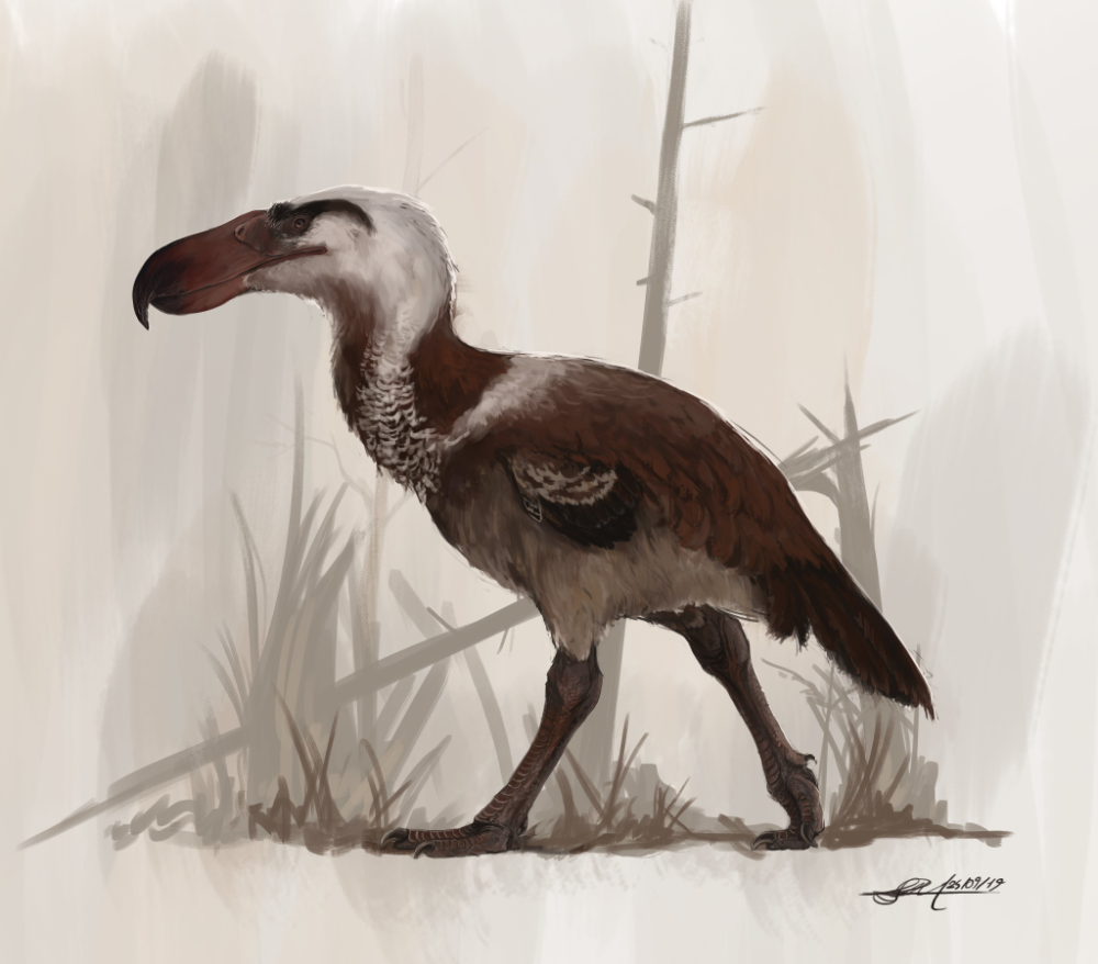 Титанис Гасторнис