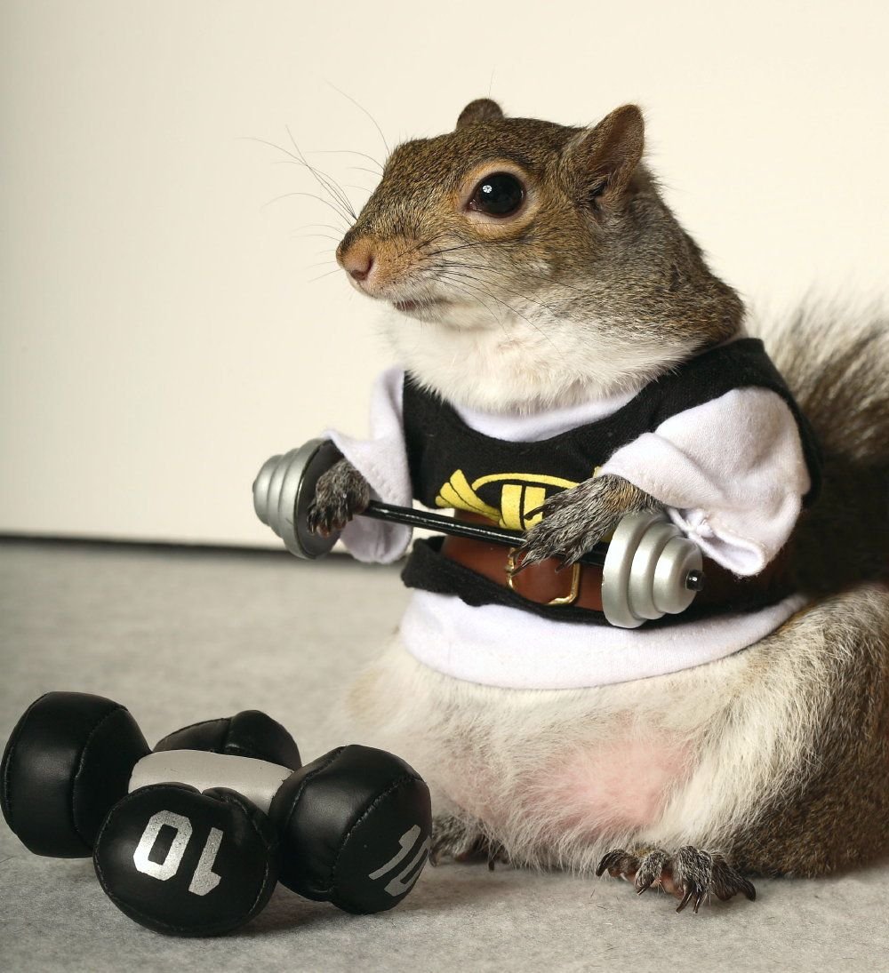 Мелкокалиберный автомат