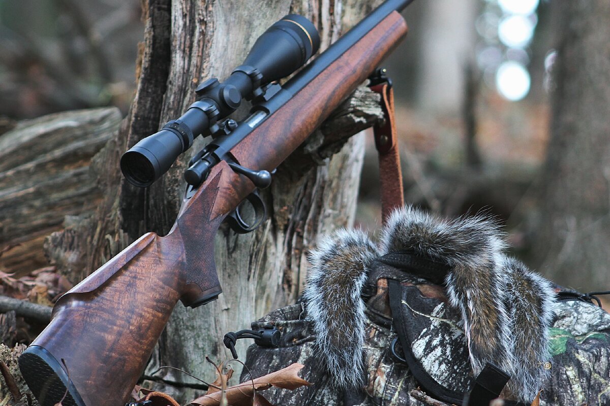 Белка мелкашка для охоты