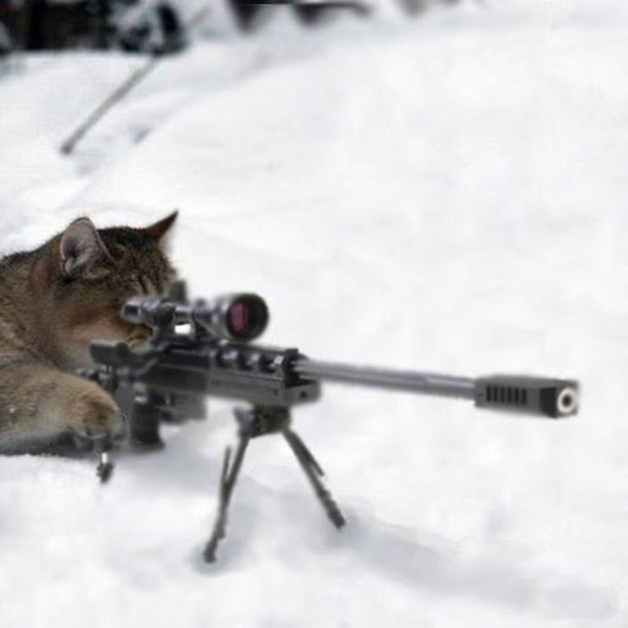 Оружие для охоты на белку