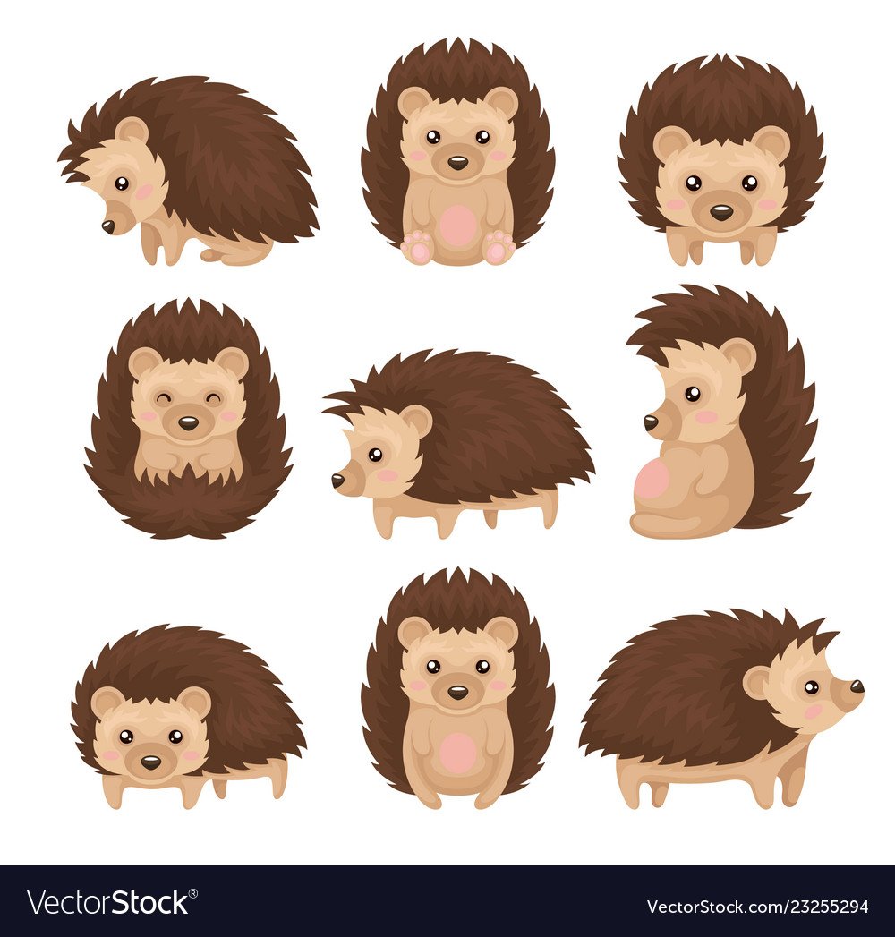 Еж в разных позах