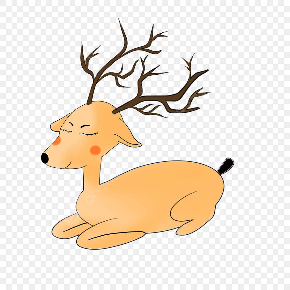 Дикий зверь спит