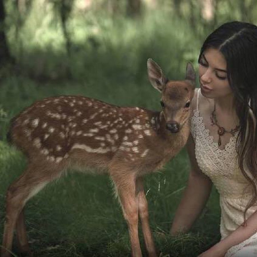 Олени совокупляются