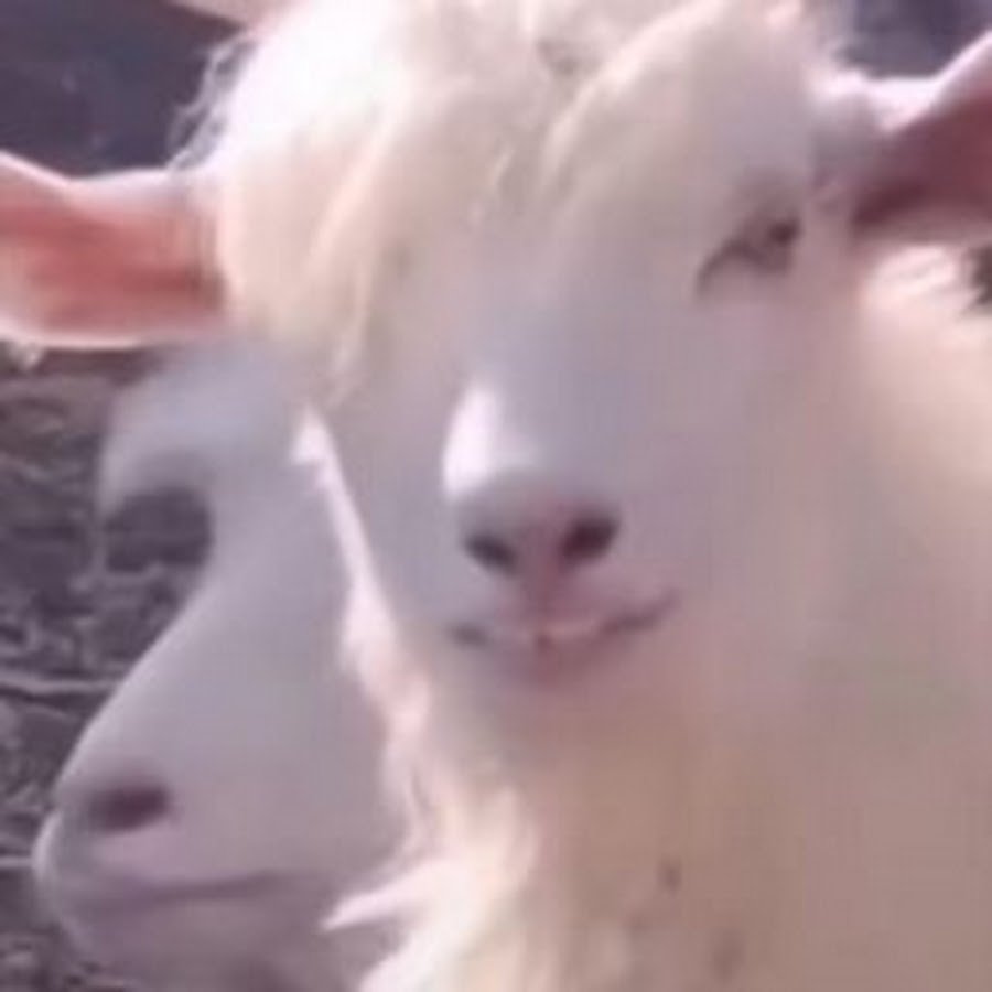 Козлик с челкой