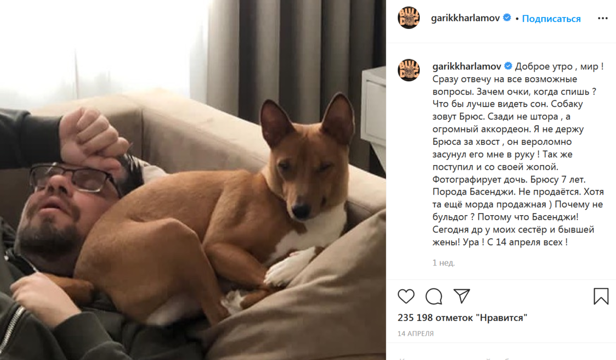Гарик Харламов собака Брюс