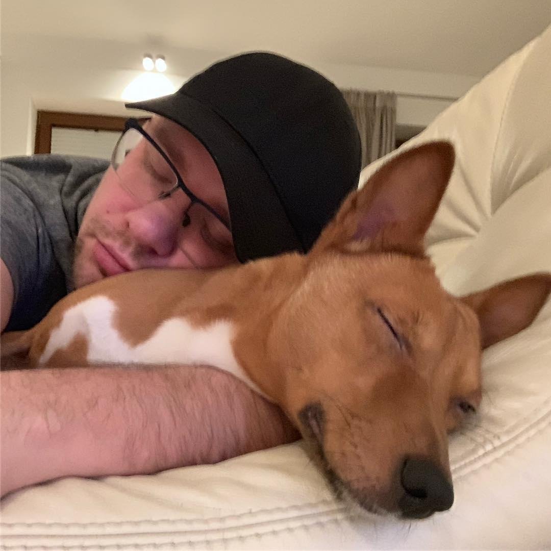 Собака Гарика Харламова порода