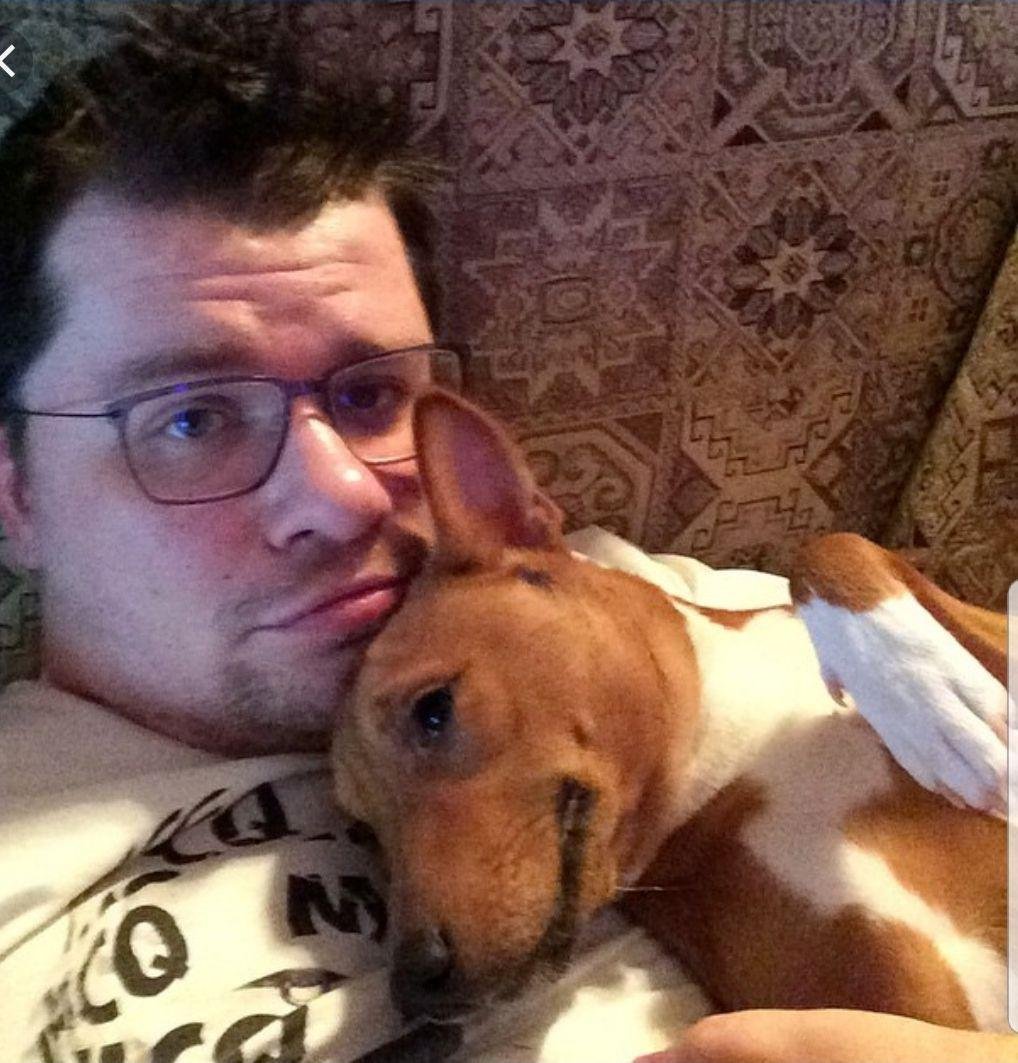 Собака Гарика Харламова Брюс порода