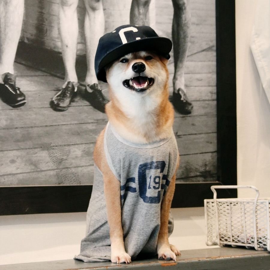 Джек Рассел и кега