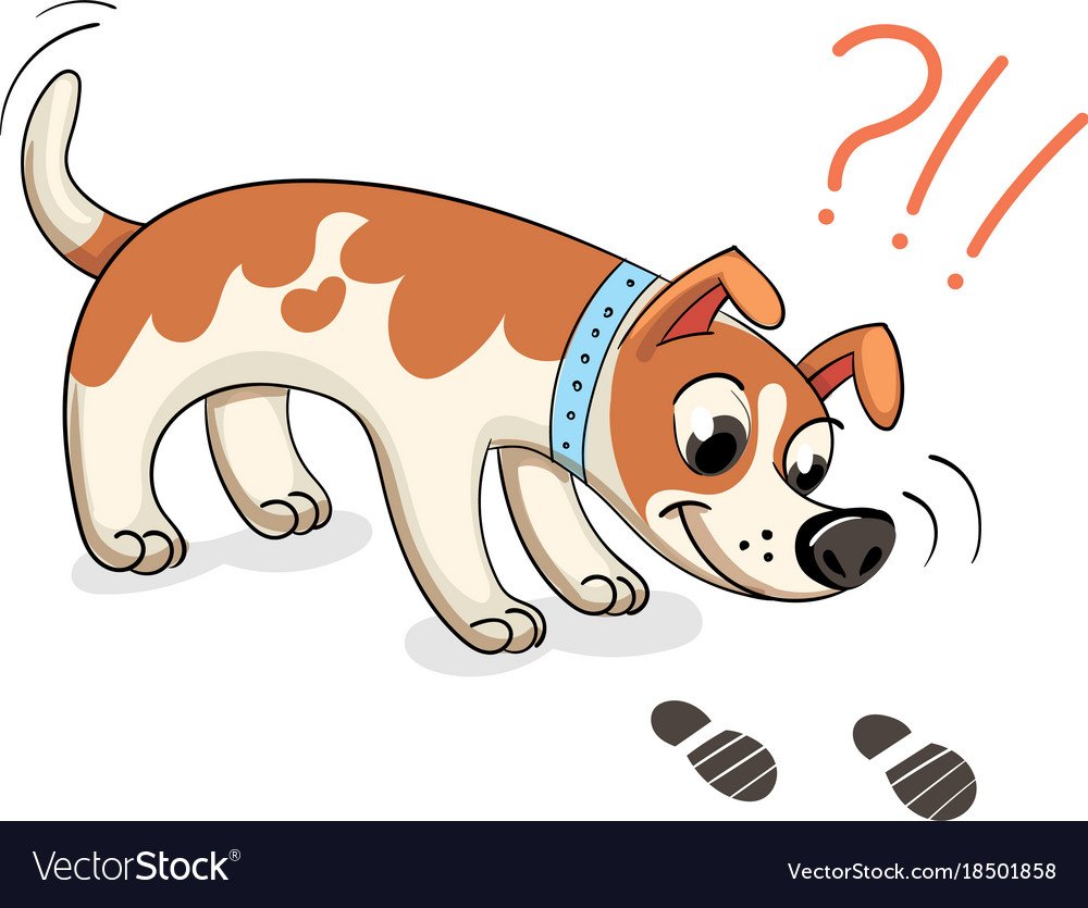 Кабан смешной