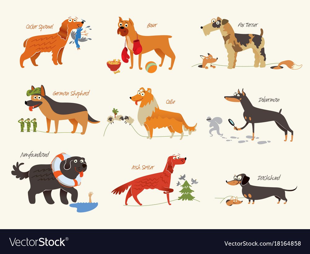 Бездомные животные зимой