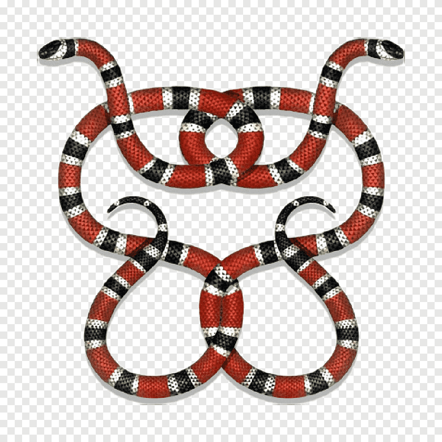 Королевская змея (Lampropeltis)