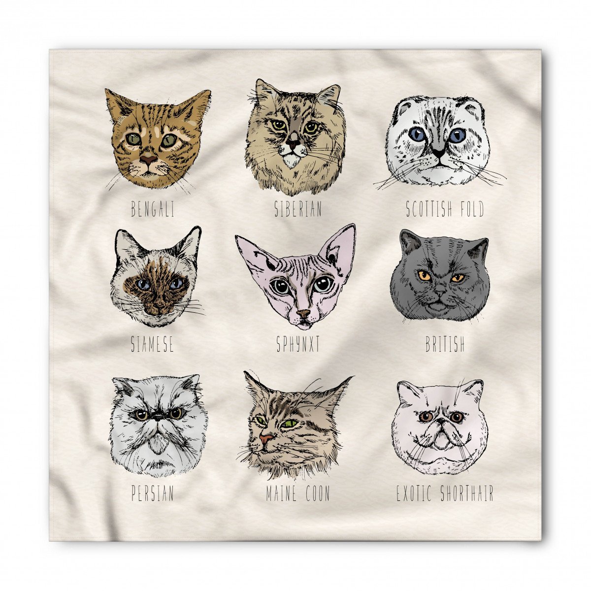 Тату британский кот эскиз