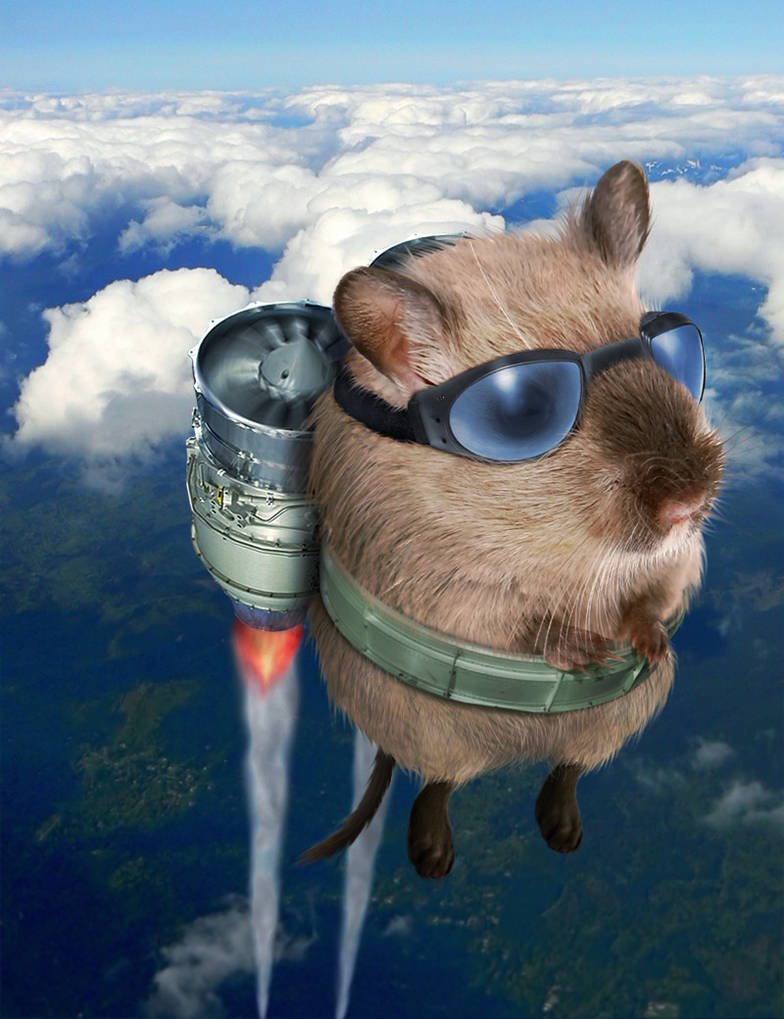 Скрещивание хомяков