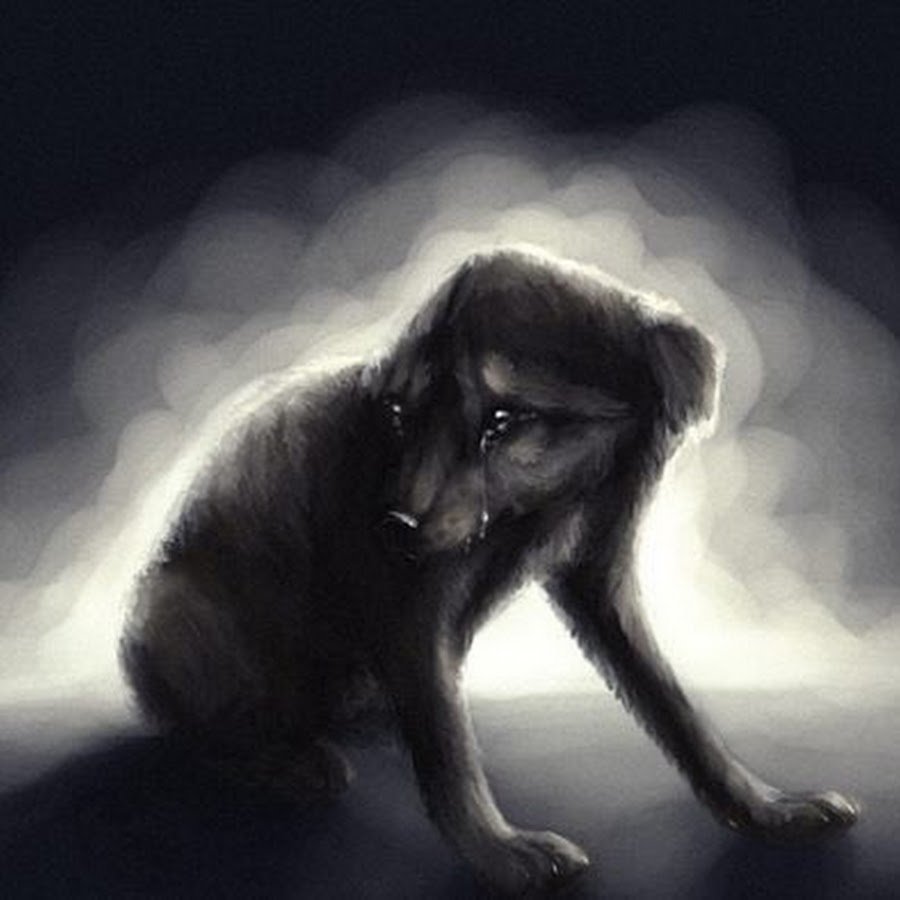 Волк плачет фото