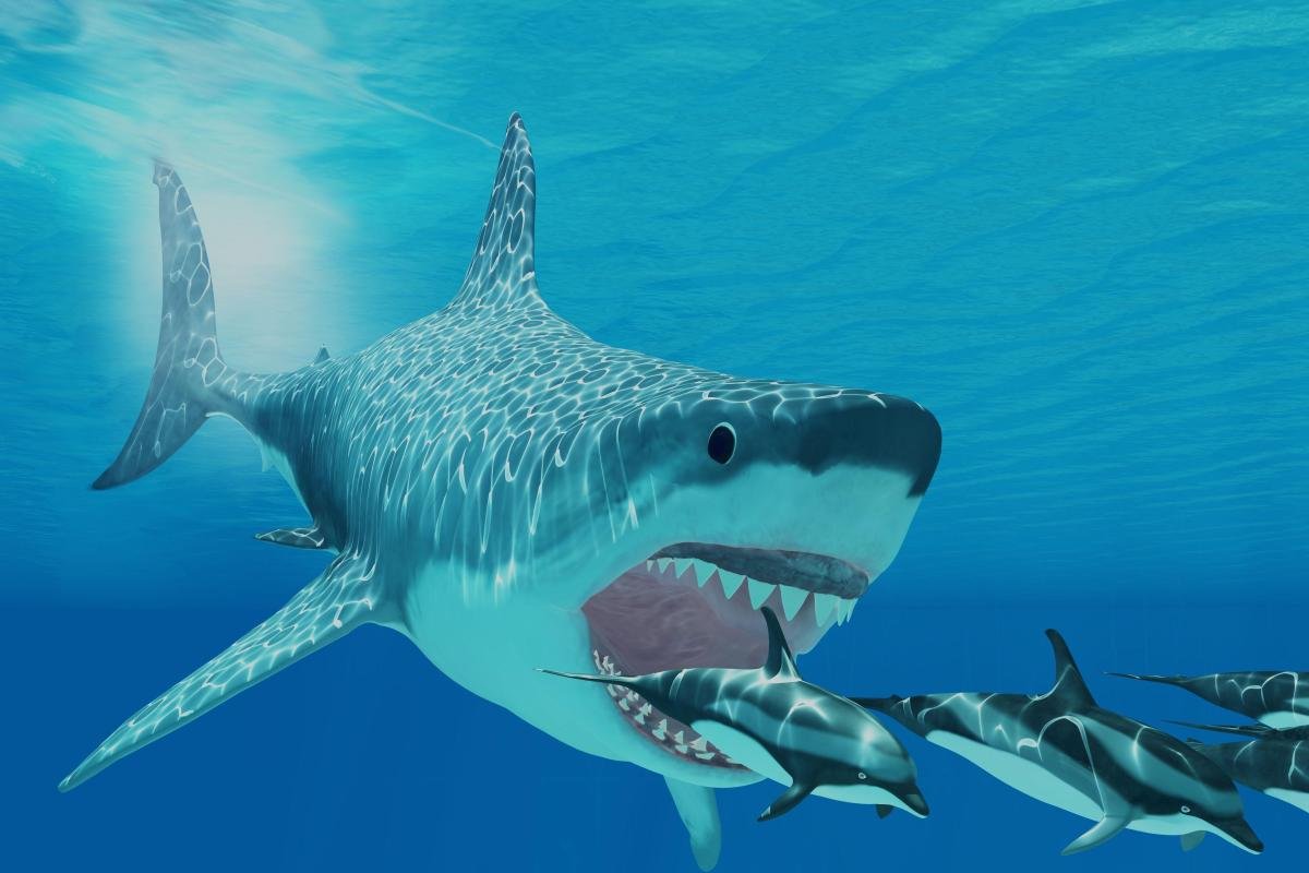 Древние акулы. Спальни акул