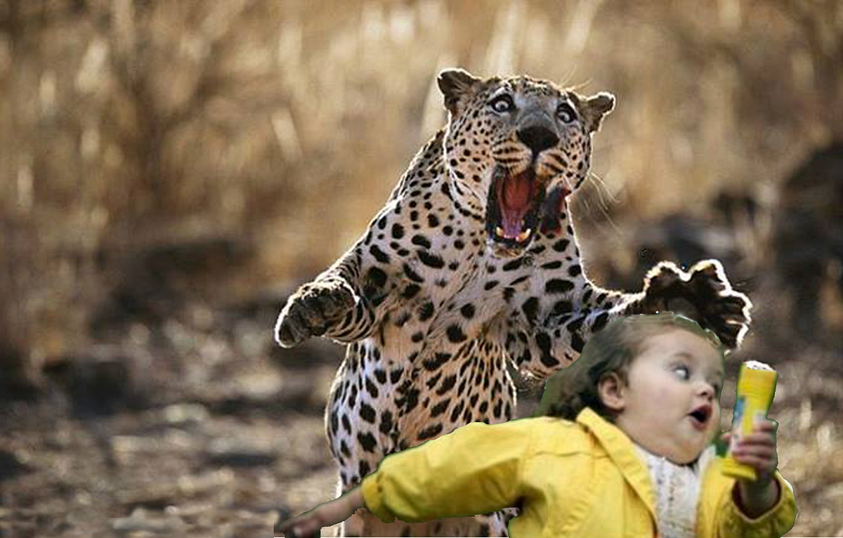 Удивленный леопард