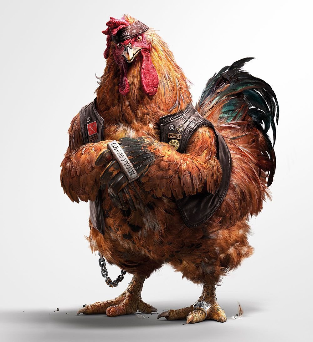 Бойцовые петухи Шамо