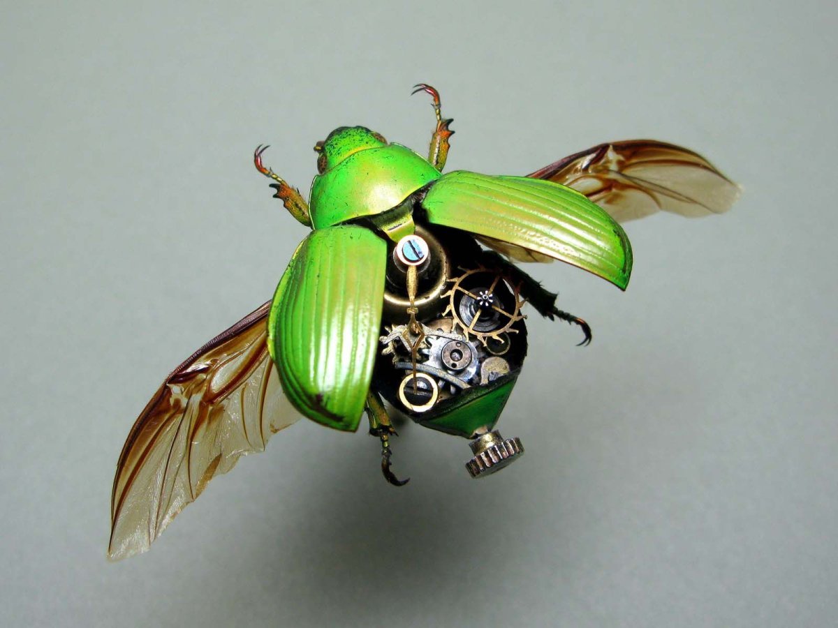 Зеленые жучки