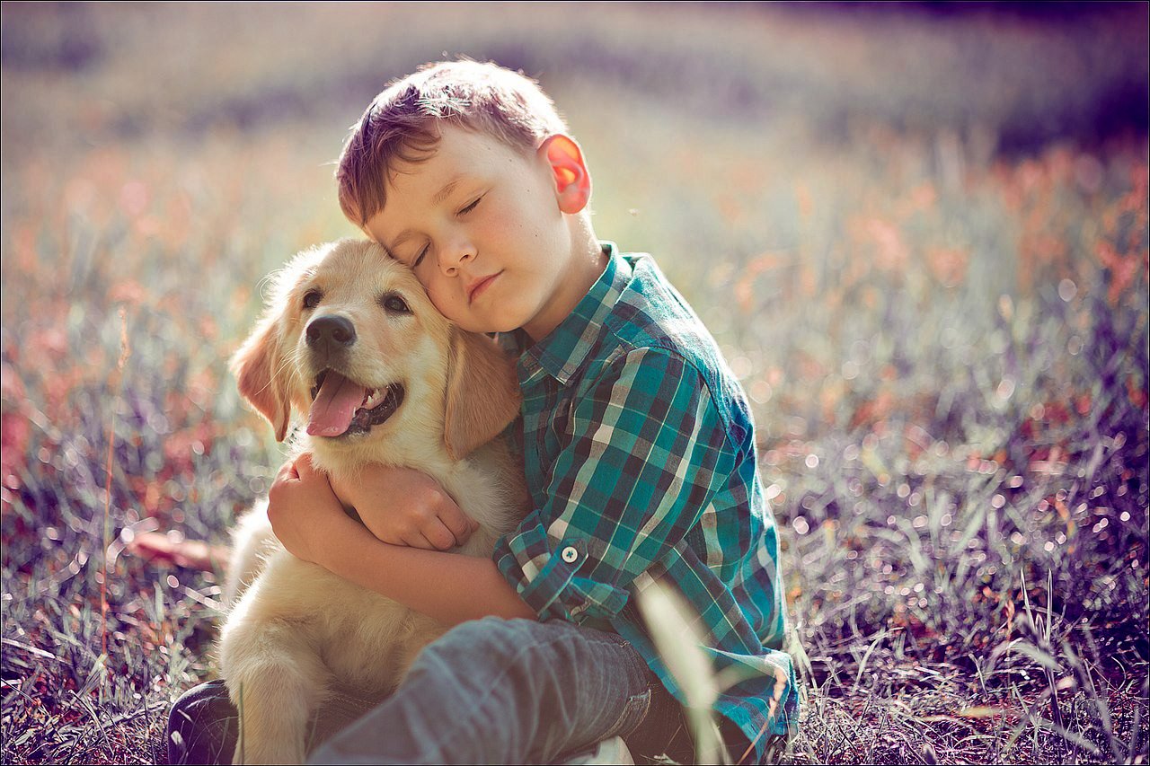Собака и человек 1 класс. Собака друг человека. Мальчик с собакой. Мальчик обнимает собаку. Собака для детей.