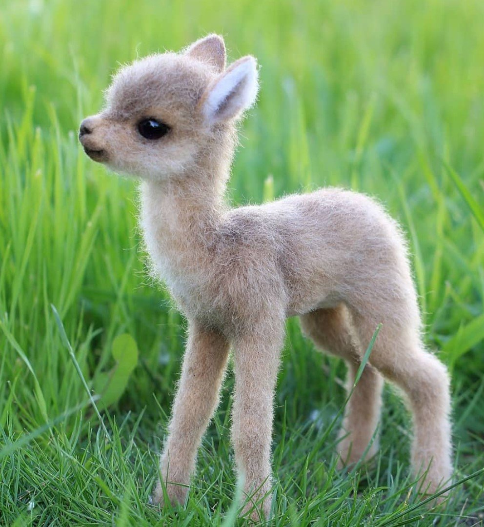 Олененок на белом фоне