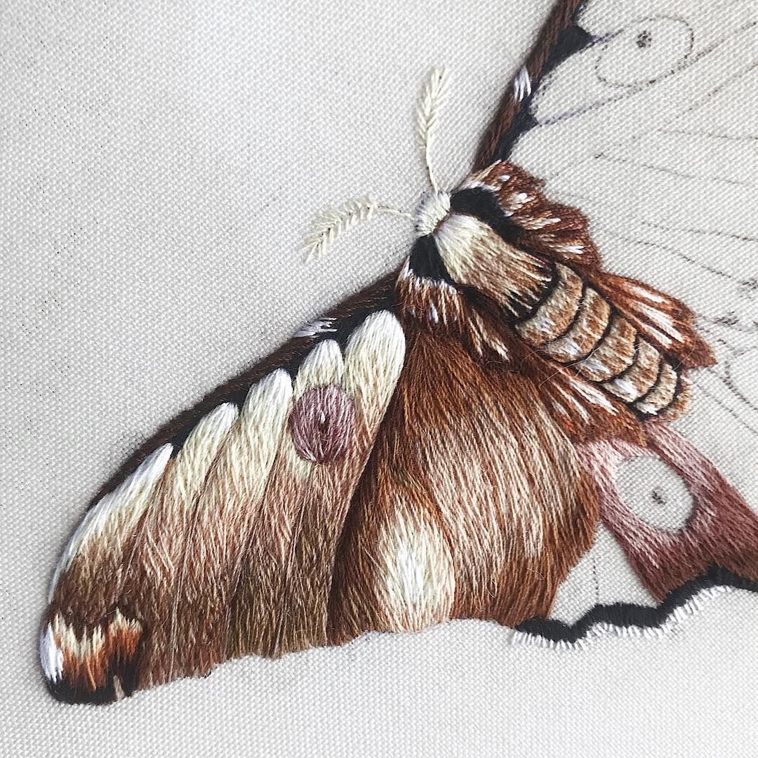 Мотылек вышивка