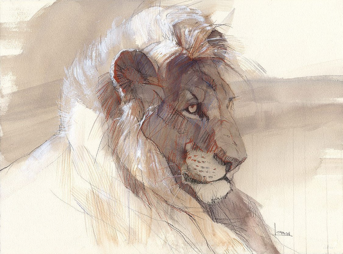 Львенок Лео