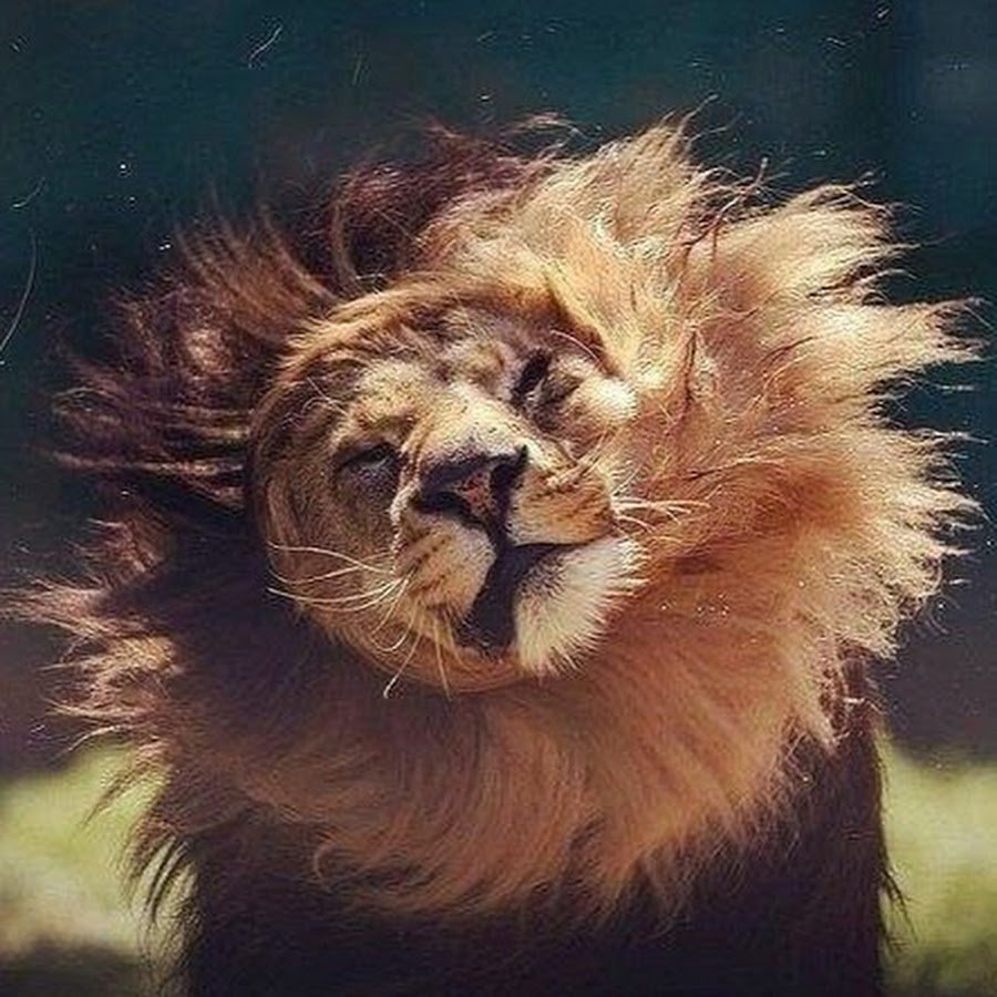 Лев Британская Империя