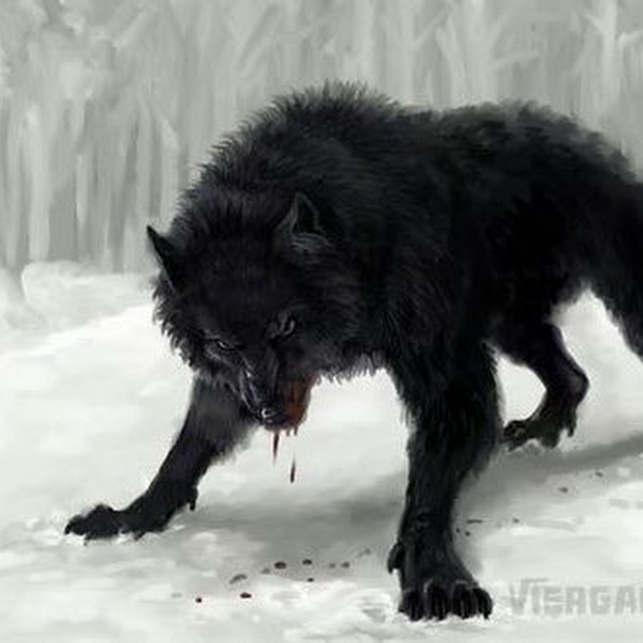 Огромный черный волк