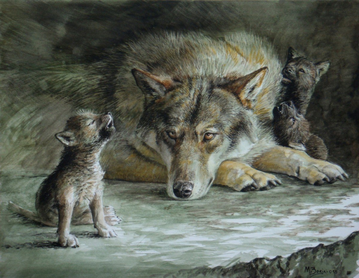 Злой волк с надписью