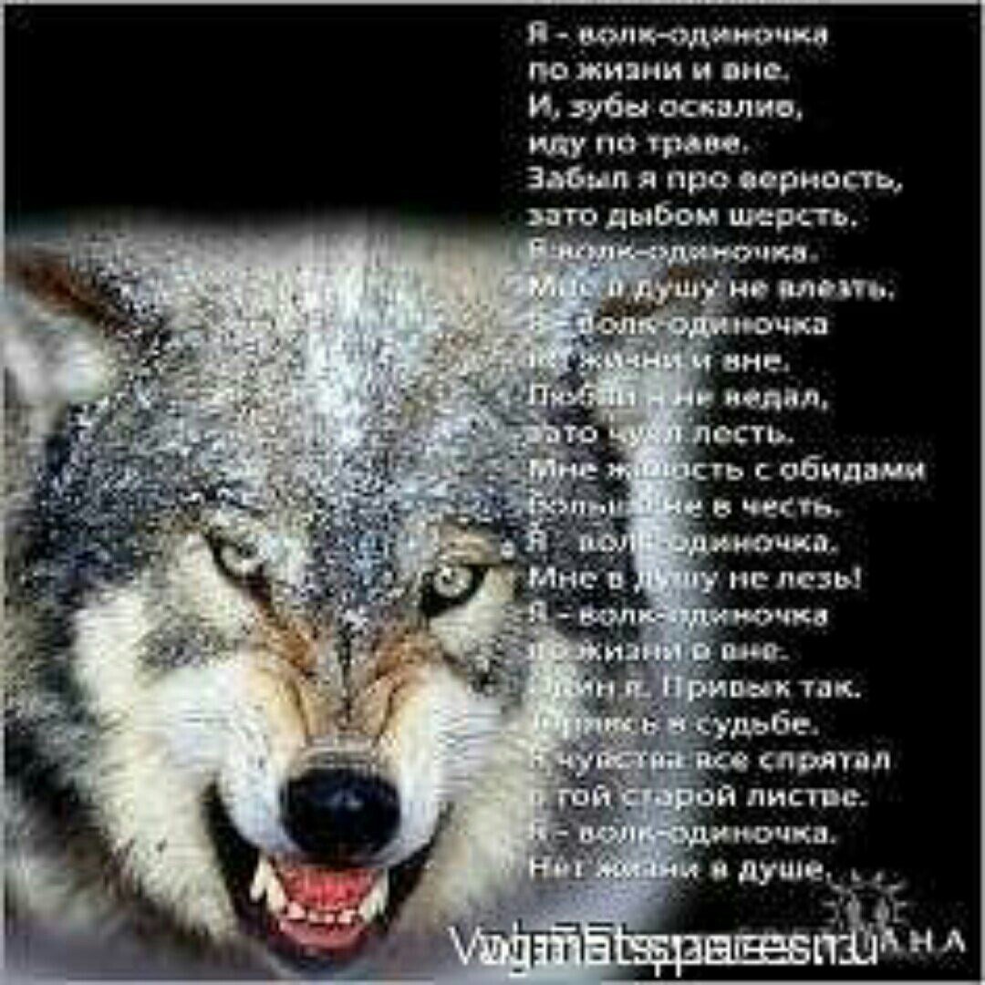 Окабер табоо