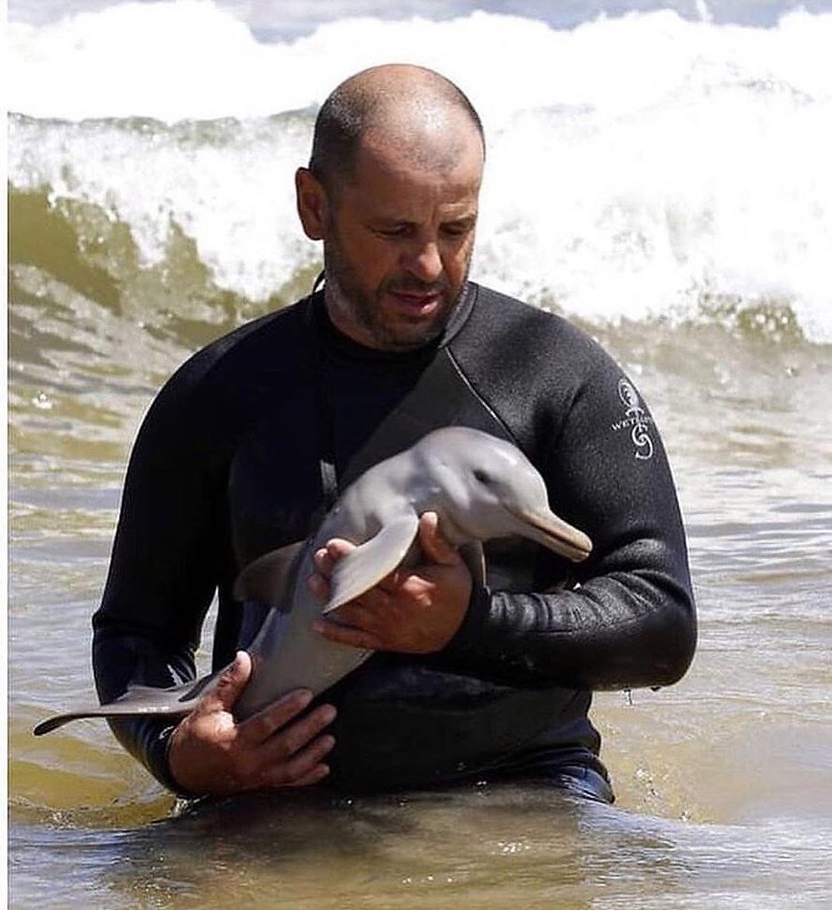 Дельфины Речной ла платский