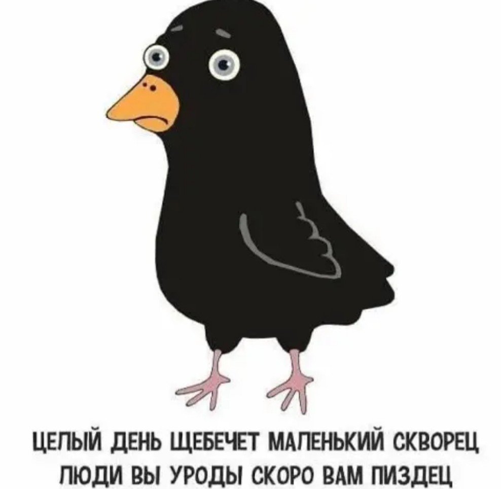 Глупый скворец