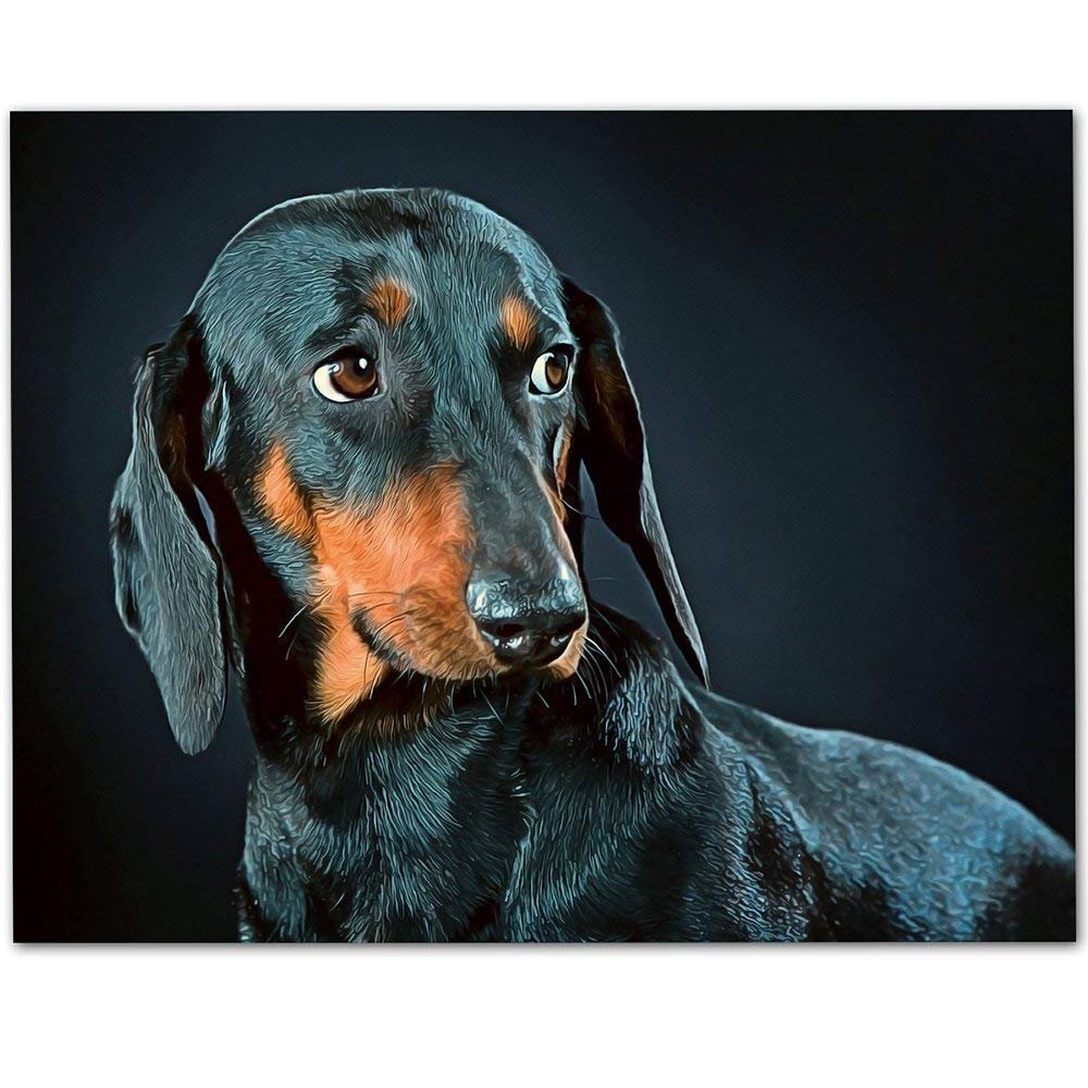 Такса разноцветная