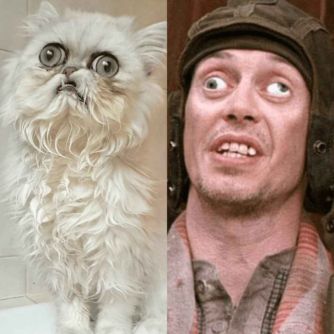 Сфинкс Локи