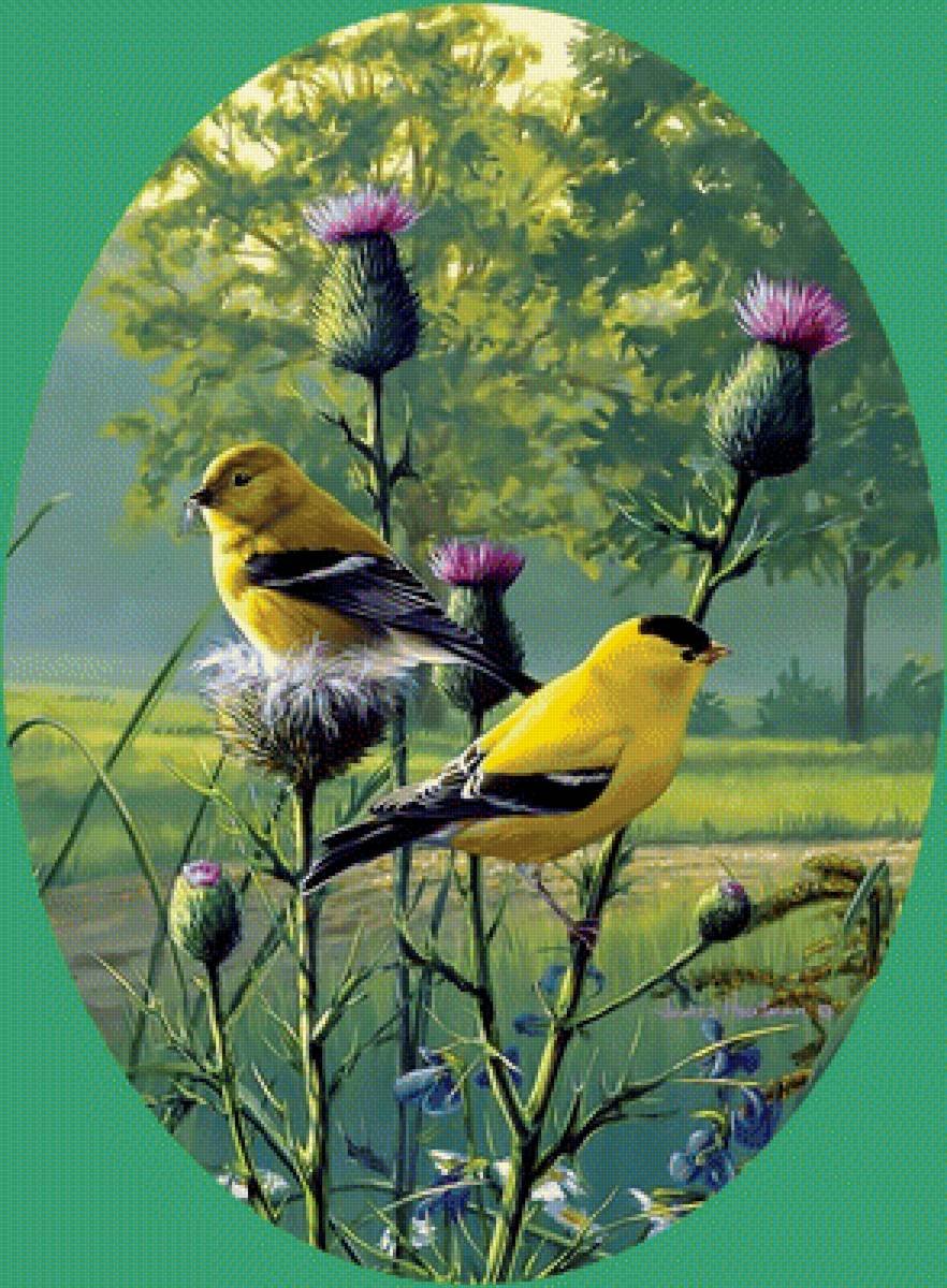 James Hautman картины