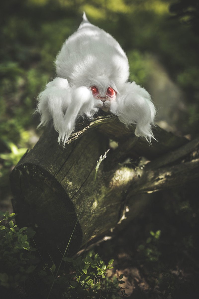 Белая летучая лисица альбинос