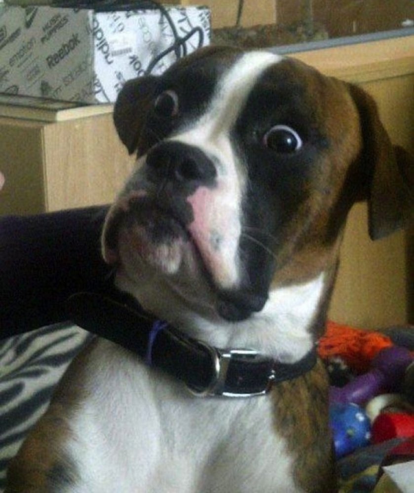 Завтра понедельник и снова