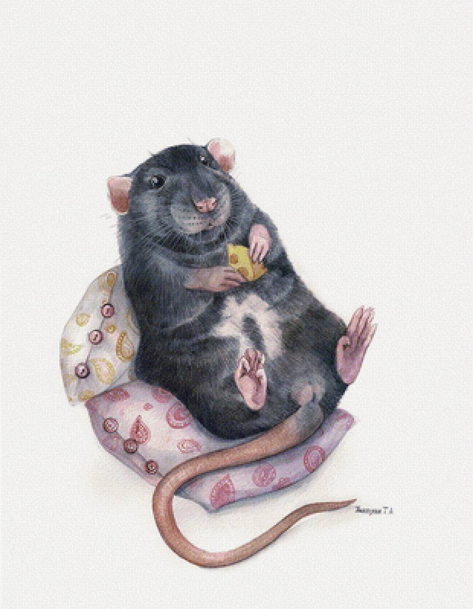 Милая крыса