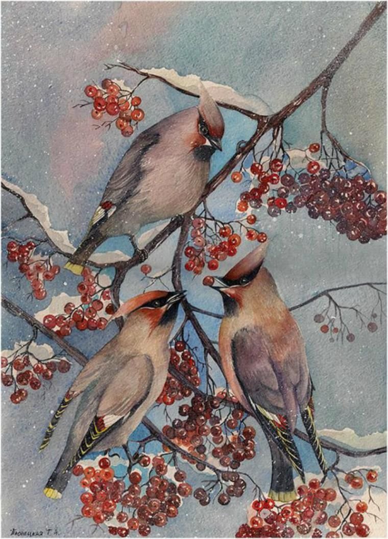 Свиристель живопись картина