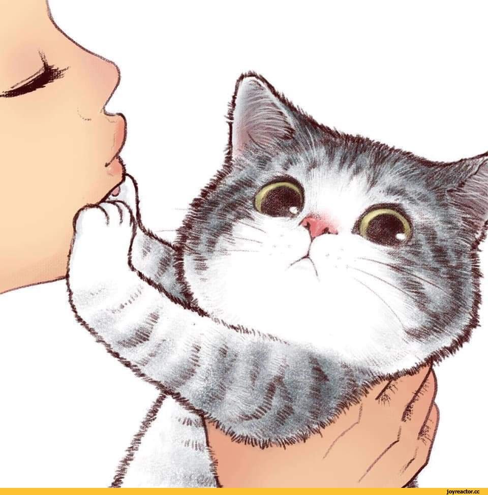 Милые котята плачут