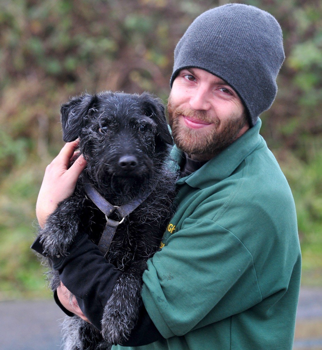 Эстетика собачек