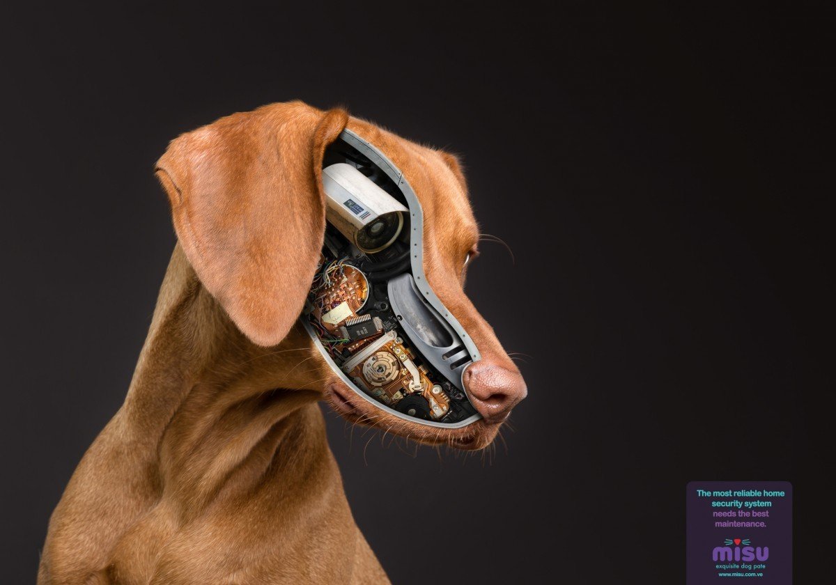 Животные с хозяевами