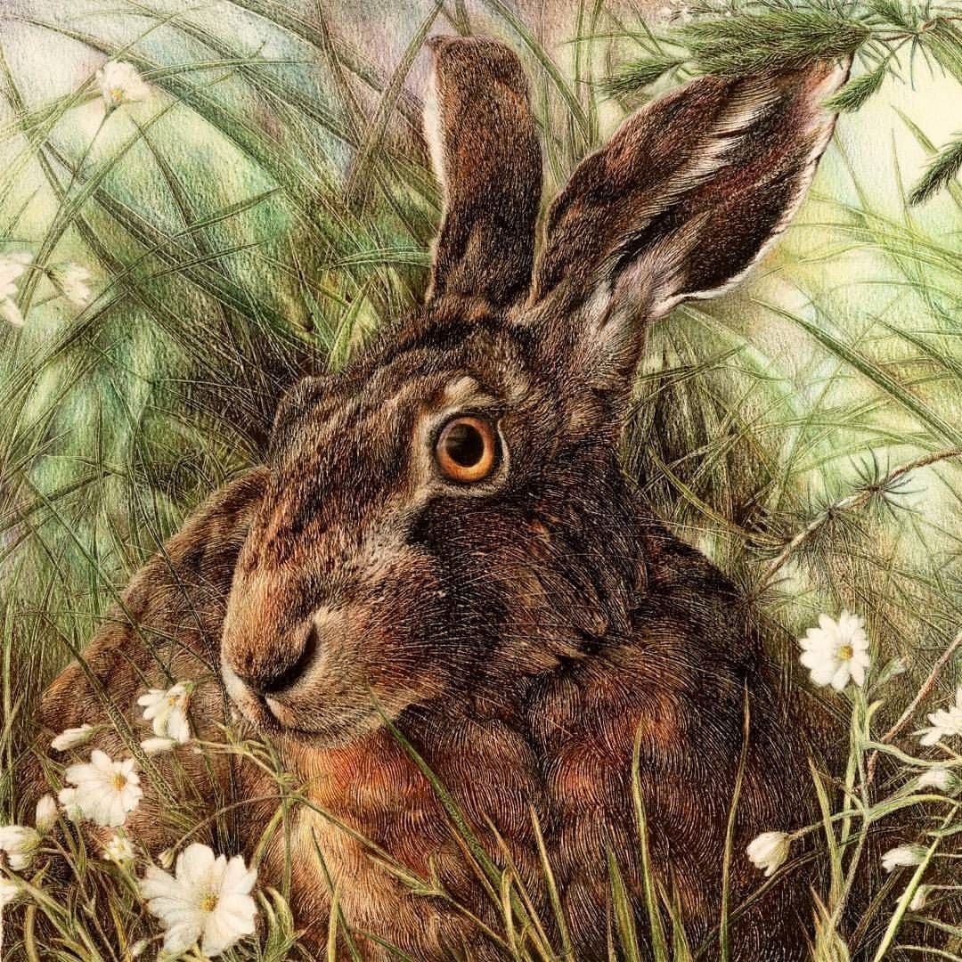 Яна Мовчан художник картины кролики