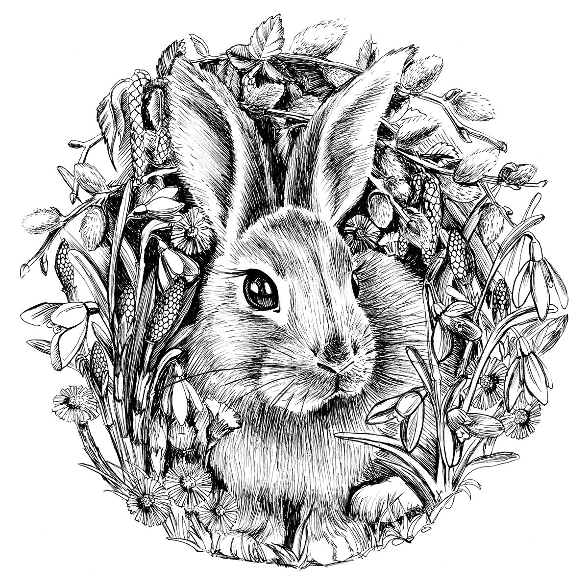 Ханни Банни