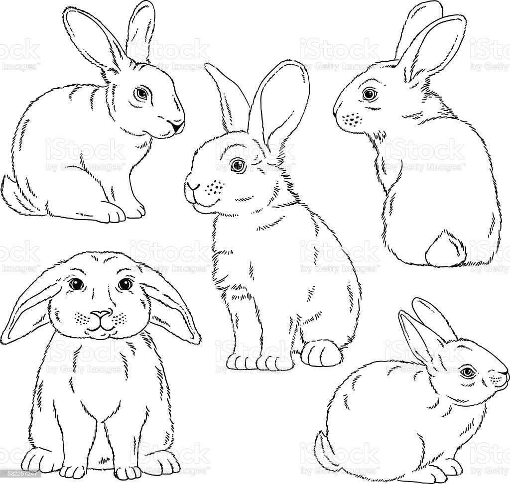 Кролик с венком на голове