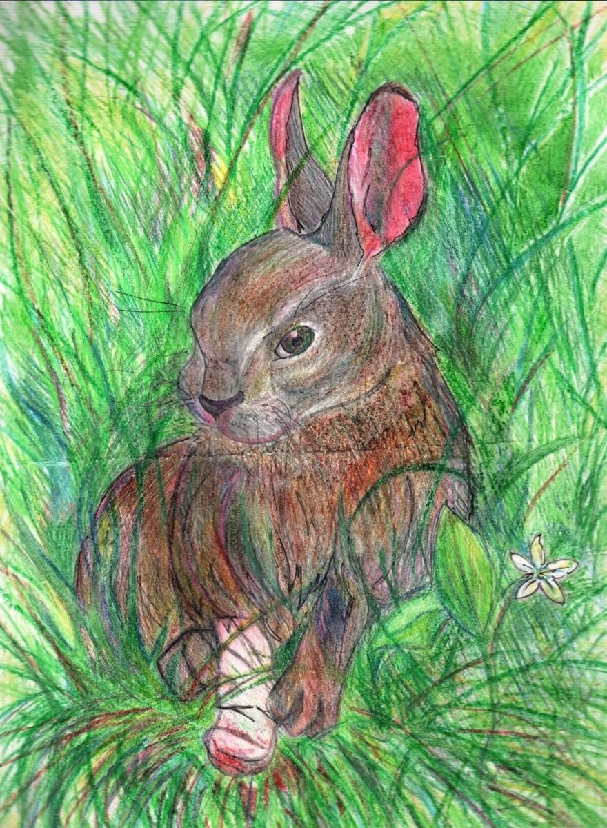 Заяц цветными карандашами