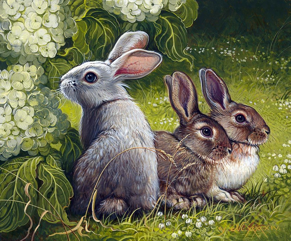 Зайчиха с зайчонком