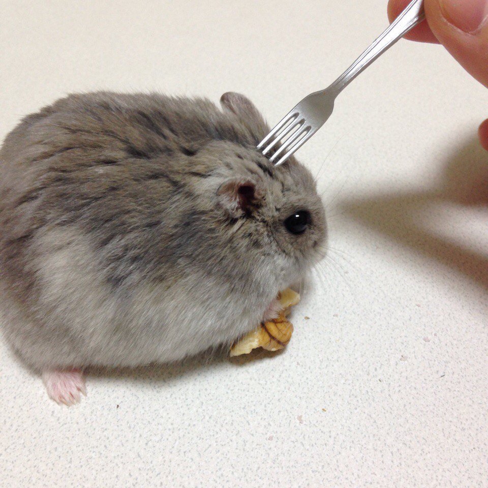 Я конечно ростом не вышел Мем