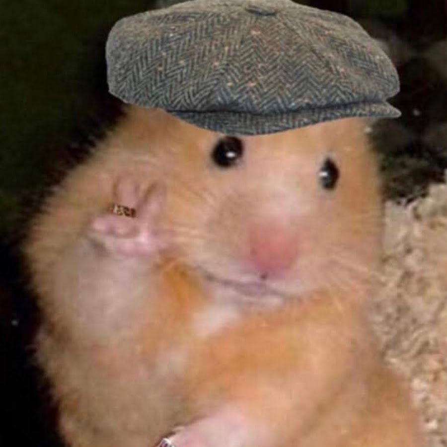 Кролик и хомяк